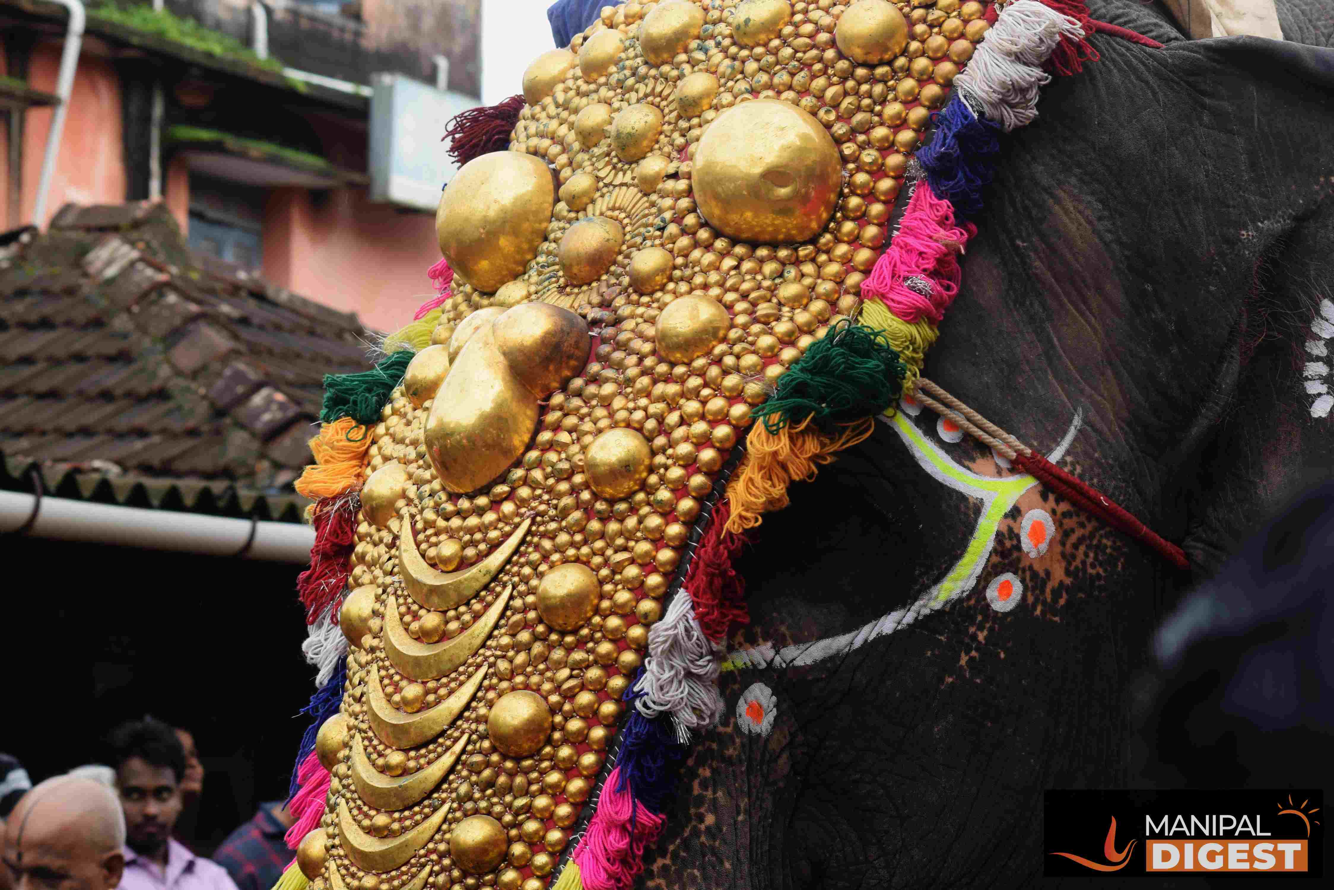 Udupi temple elephant