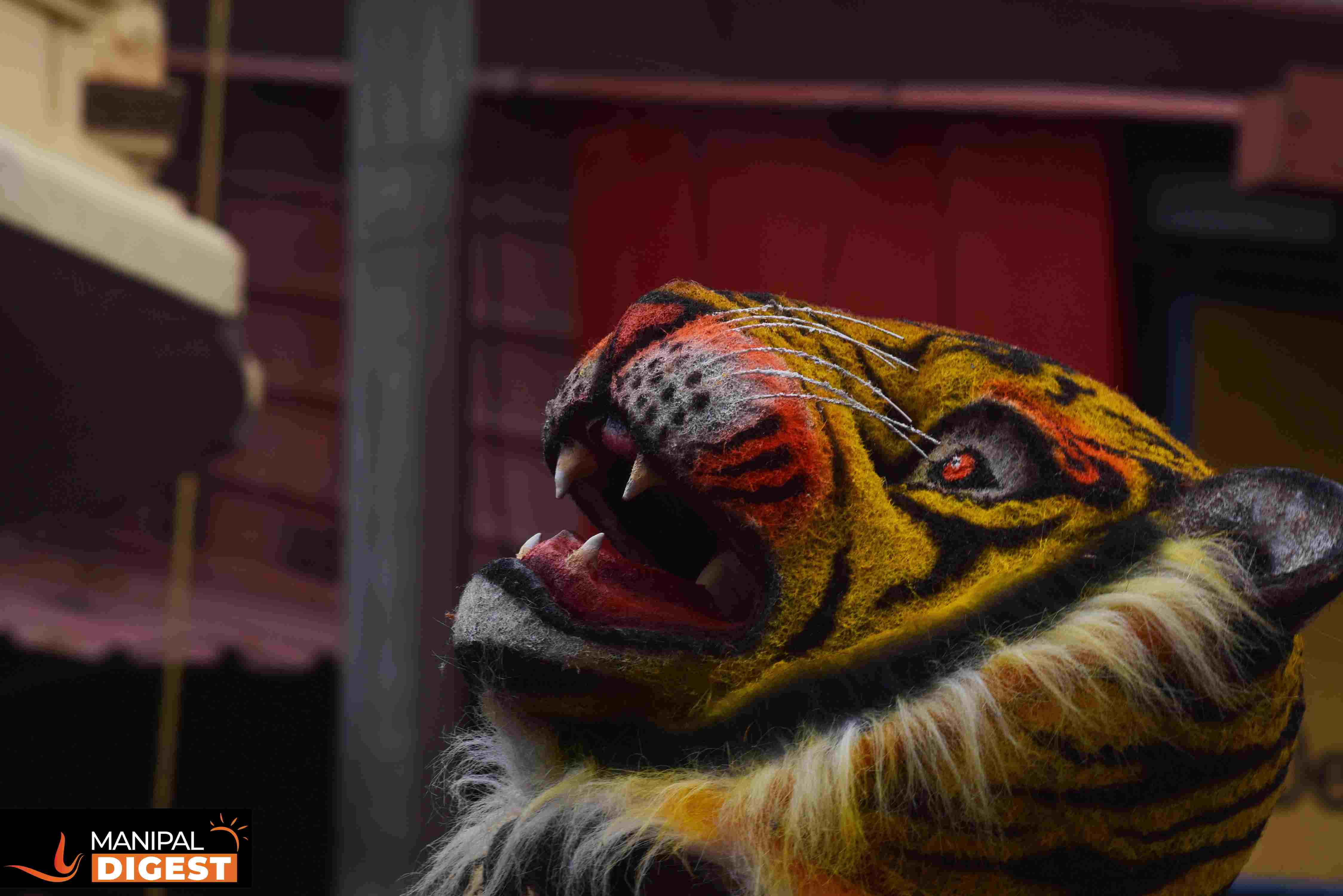 A Tiger Mask at Udupi